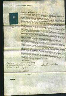 Court of Common Pleas - Elizabeth Hands and Sarah Clark-Original Ancestry