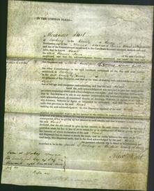 Court of Common Pleas - Sarah Reeves-Original Ancestry