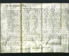 Court of Common Pleas - Ann Havell-Original Ancestry
