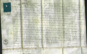 Court of Common Pleas - Mary Wise-Original Ancestry