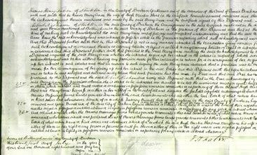 Court of Common Pleas - Mary Anne Short-Original Ancestry