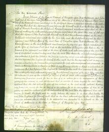 Court of Common Pleas - Ellen Teanby-Original Ancestry