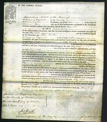 Court of Common Pleas - Elizabeth Avery-Original Ancestry