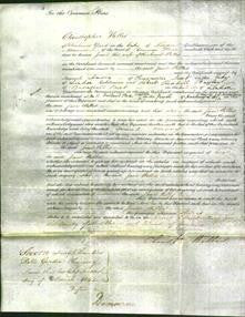 Court of Common Pleas - Jane Willis-Original Ancestry