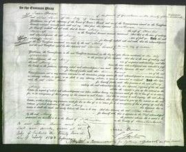Court of Common Pleas - Mary Wannop-Original Ancestry