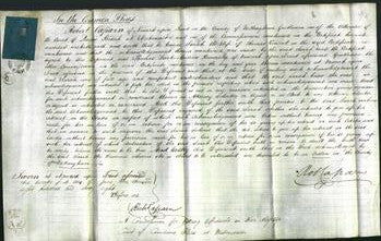 Court of Common Pleas - Sarah Vincent-Original Ancestry