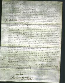 Court of Common Pleas - Ann Drewry Brisco-Original Ancestry