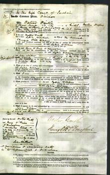 Court of Common Pleas - Lydia Wilshire-Original Ancestry