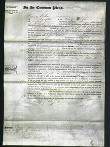 Court of Common Pleas - Eleanor Marson and Amelia Rathbone-Original Ancestry