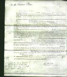 Court of Common Pleas - Mary Withers-Original Ancestry