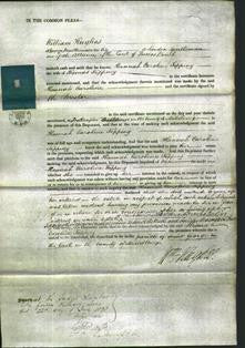 Court of Common Pleas - Hannah Caroline Topping-Original Ancestry
