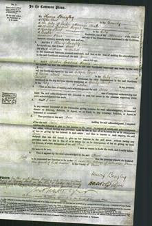 Court of Common Pleas - Ann Underhill-Original Ancestry