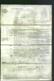 Court of Common Pleas - Martha Cockerill and Elizabeth Robinson-Original Ancestry