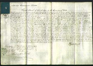 Court of Common Pleas - Elizabeth Stratton-Original Ancestry