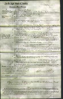 Court of Common Pleas - Charlotte Nixon-Original Ancestry