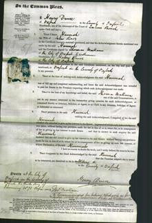 Court of Common Pleas - Hannah Rose-Original Ancestry