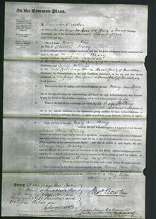 Court of Common Pleas - Mary Ann Berry-Original Ancestry