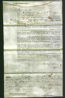 Court of Common Pleas - Ann Cullum-Original Ancestry