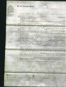 Court of Common Pleas - Catherine McGrath-Original Ancestry