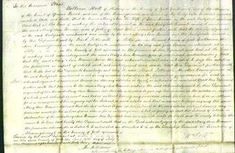 Court of Common Pleas - Mary Ann Braime-Original Ancestry