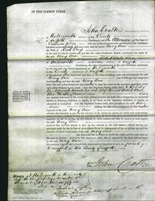 Court of Common Pleas - Mary Ann Crisp-Original Ancestry