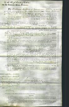 Court of Common Pleas - Jane Bulman-Original Ancestry