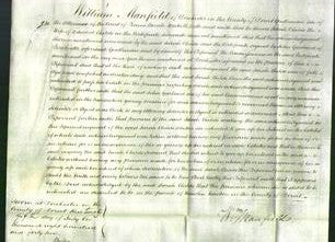 Court of Common Pleas - Sarah Childs-Original Ancestry