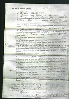 Court of Common Pleas - Eliza Chenhalls-Original Ancestry