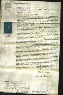 Court of Common Pleas - Margaret Shirroff and Mary Orchard-Original Ancestry