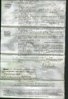 Court of Common Pleas - Jane Cole-Original Ancestry
