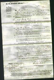 Court of Common Pleas - Emma Elbourne-Original Ancestry