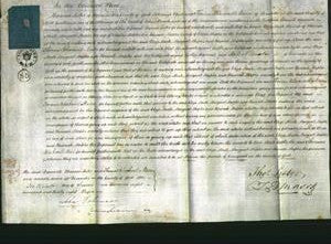 Court of Common Pleas - Eliza Moates, Hannah Maples and Margaret Maples-Original Ancestry