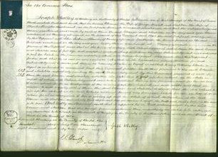 Court of Common Pleas - Eleanor Guyatt and Matilda Marchment-Original Ancestry