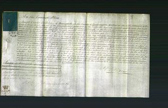 Court of Common Pleas - Martha Mott-Original Ancestry