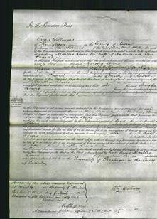 Court of Common Pleas - Martha Lewis-Original Ancestry