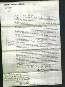 Court of Common Pleas - Mary Harrison-Original Ancestry