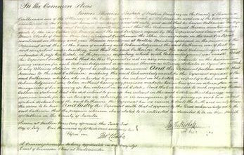 Court of Common Pleas - Catherine Mason-Original Ancestry