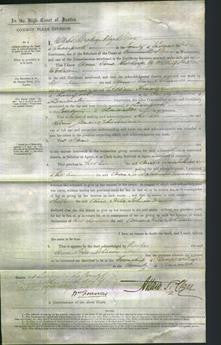 Court of Common Pleas - Anne Jane Johnson-Original Ancestry