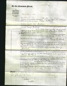 Court of Common Pleas - Mercy Hubbard-Original Ancestry