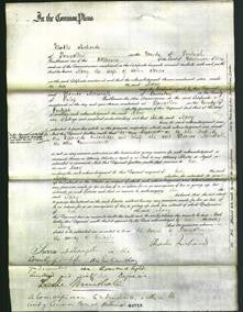 Court of Common Pleas - Mary Jones-Original Ancestry