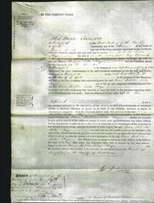 Court of common Pleas - Dame Matilda Lister Kaye-Original Ancestry