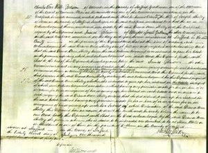 Court of Common Pleas - Dianna Ann Shelley-Original Ancestry