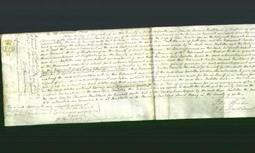 Court of Common Pleas - Ann Isabella Trowbridge-Original Ancestry
