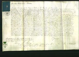 Court of Common Pleas - Anne Gomery-Original Ancestry