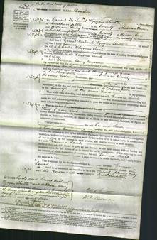 Court of Common Pleas - Emma Leach-Original Ancestry