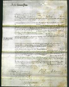 Court of Common Pleas - Jane Cannon-Original Ancestry