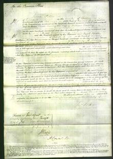 Court of Common Pleas - Sarah Towsley-Original Ancestry