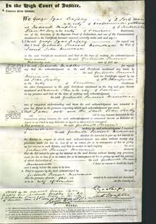 Court of Common Pleas - Gertrude Percival Merriman-Original Ancestry