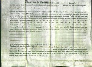 Deed by Married Women - Sarah Towsley-Original Ancestry