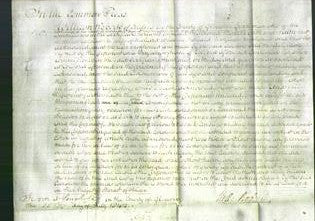 Court of Common Pleas - Caroline White-Original Ancestry